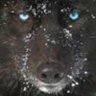 vucaćin's profile picture