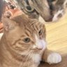 minnnnnnnn profil fotoğrafı