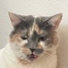Profilbild von bryan