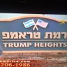 Bell Collins 的头像