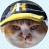 にゃんこ@とんちき profil fotoğrafı