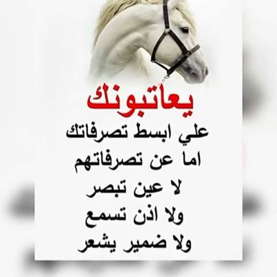 cnnc32's profile picture