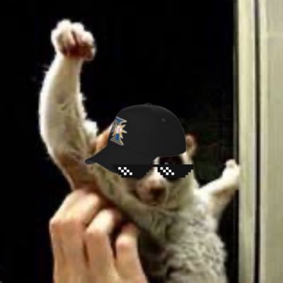 kmr(肉体覇王 ジャル•マル)'s profile picture