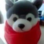 aawoogie's profile picture
