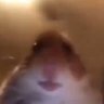 Sporemaniak1 🇵🇱's profile picture
