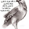 ابوانس💐💐 profil fotoğrafı