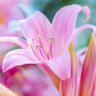 Фото профиля みく太