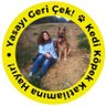 E. Karaca's profile picture