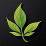 Profilbild von Tree LEAF