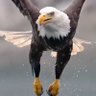 Icarus's profile picture