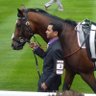 HorseRacingLeagueTables profil fotoğrafı