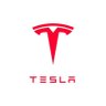 GoTesla🚀's profile picture