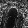 Фото профиля Linnylatt