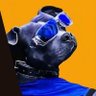 Profilbild von Moonfomo