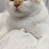 Фото профиля piy0piy0