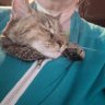 ler540 (L. Richards)'s profile picture