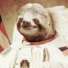 Politics Sloth 🧦🌐🇬🇷🇺🇸 (#1 reply guy)'s profile picture