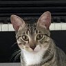 Profilbild von Luis