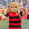 Rasta del León profil fotoğrafı