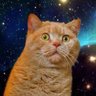 みけねこ 的头像