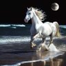 Фото профиля ْعبّدِالُْعزُيَزُ الُانَصّارَيَ الُْعامٌرَيَ