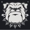 bulldogblendy 的头像