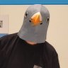 電書鳩 profil fotoğrafı