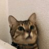 chort2 profil fotoğrafı