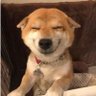 Profilbild von Jimmy