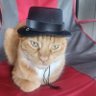 Edward Noworyta's profile picture
