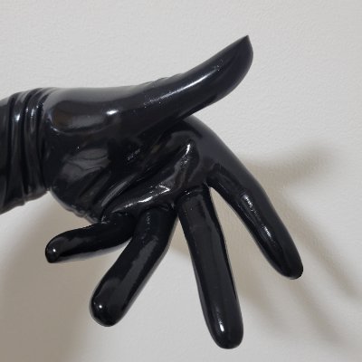 Shun's profile picture