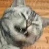 Profilbild von 我我我我我