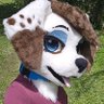 Garbage Bunny 🐇🏳️⚧️ 🔞's profile picture