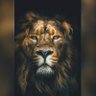 OJO 💙🦁 profil fotoğrafı