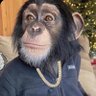 Dretro profil fotoğrafı