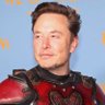 Elon Musk - Parody's profile picture