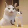 ブラッキー先生㌥'s profile picture