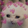 Daenerys Targaryen's profile picture