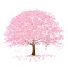 Farida's profile picture