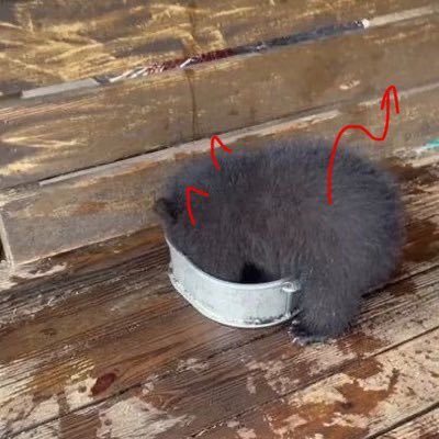 미직's profile picture