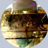 Profilbild von _8_O_8_