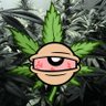 Profilbild von TheBloopFamily