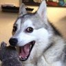 RemoveThune!'s profile picture