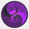 Optimal Paradox's profile picture