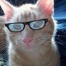 Smitty Bacall's profile picture