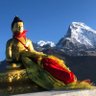 स्वराई's profile picture