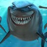 alan g's profile picture