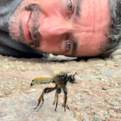 Oliver C Wright's profile picture