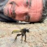 Profilbild von Oliver C Wright