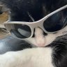 Michi Sagitario's profile picture